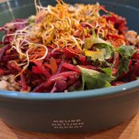 Bunter Wintersalat mit Rote Bete, Grünkohl, Apfel, Kräutern, frischen Sprossen und angekeimten Walnüssen🥗🍀🥕 Eine wahre Farb- und Geschmacksexplosion #highvibefood at BioWelten BistroCafé & Organic Supermarket in Immenstadt