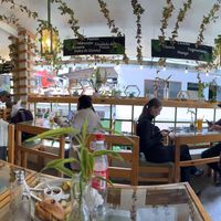 Inside  at Green House in Aguas Calientes