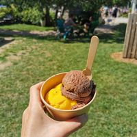 Chocolate and mango at La Cigale in Ottawa