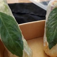 fresh rolls at Asian Plus Noodle & Rice in Westford