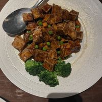 Vegetarian Mapo Tofu  at Karma in Westford