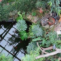  at Het Paradijs in Enschede