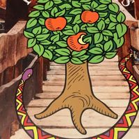   at Het Paradijs in Enschede