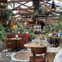   at Het Paradijs in Enschede