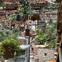 Beautiful and colorful interior   at Het Paradijs in Enschede