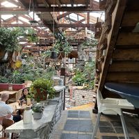   at Het Paradijs in Enschede