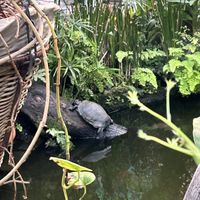   at Het Paradijs in Enschede