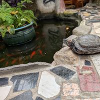  at Het Paradijs in Enschede