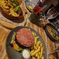  at Het Paradijs in Enschede