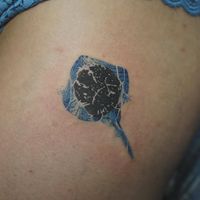 𝙄𝙂: 𝙣𝙖𝙩𝙚_𝙩𝙝𝙖𝙞𝙡𝙖𝙣𝙙 🍃 Ray tattoo with wave pattern and elephant footprint inside by Baan Khagee Tattoo Chiang Mai, Thailand at Baan Khagee Tattoo in Chiang Mai