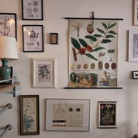 This place breathes coffee at Slowwings in Ieper