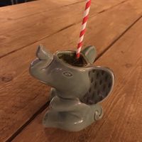   at The Coconut Tree in Bournemouth