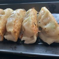 Dumplings  at SATO Ramen in Buffalo