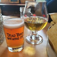 Blackberry beer and their Kolsh at Dead Bird Brewing in Milwaukee
