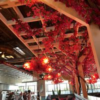 Downstairs restaurant   at Chai Pani in Asheville