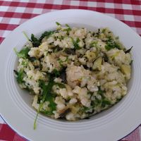 Risotto at Food Atelier in Tilburg
