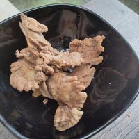 Karaage Mushrooms at The Tramshed in Sheffield