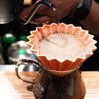 Pour Over Coffee at Story Coffee Roasters in Hiroshima