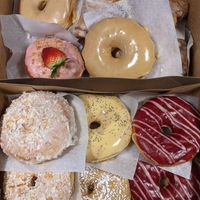 Bottom: coconut, passion fruit, Marion Berry and French toast Top: Maple and apple fritters (pink with strawberry not vegan) at Dough Hook in Salem