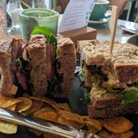 VERY VEGAN CLUB at Anne&Max in Eindhoven