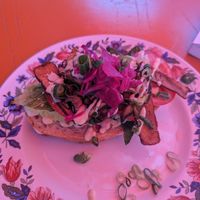  at Tolbar in Amsterdam