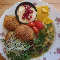 Vegan falafels with couscous and houmous at Den Olifant in Ypres