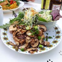  at Den Olifant in Ypres