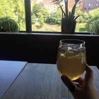 Kombucha and the views from the cafe  at Funky Fresh Cafe - DogA in Oslo