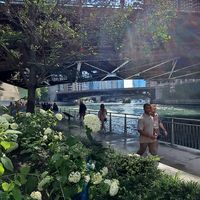 Chicago Riverwalk - GORGEOUS DAY! at Feed Your Head - Food Stand in Chicago