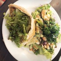 Falafel Pita Sandwich at Red Herring in Urbana