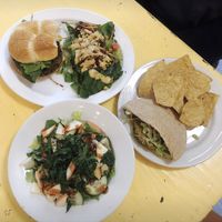 Falafel Pita Sandwich and Black beans burger  at Red Herring in Urbana