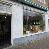 Front, small step to get in at Trevi's in Amsterdam