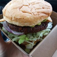 Mexi burger at Burger Plant in Dunedin