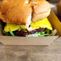 The Big Boi at Burger Plant in Dunedin