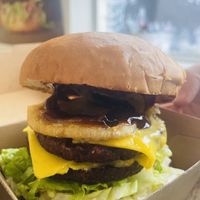   at Burger Plant in Dunedin