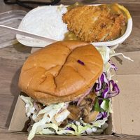 Eden curry, fungi burger    at Burger Plant in Dunedin