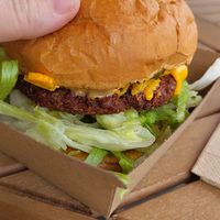  at Burger Plant in Dunedin