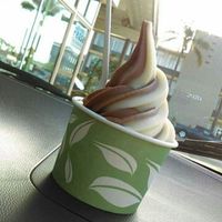 best ice cream I've ever had at Evolution Fast Food in San Diego