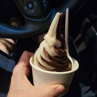 Soft serve swirl at Evolution Fast Food in San Diego