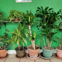 Interior at Evolution Fast Food in San Diego