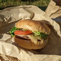 Mushroom swiss at Evolution Fast Food in San Diego