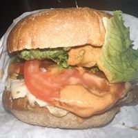 Incredible burger. Everything was so good  at Evolution Fast Food in San Diego