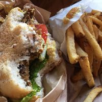 Burger and fries! at Evolution Fast Food in San Diego