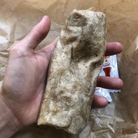 Teeny weeny California burrito at Evolution Fast Food in San Diego
