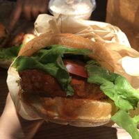 Buffalo chicken sandwich  at Evolution Fast Food in San Diego