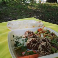 Falafelteller at L'Amira in Hamburg