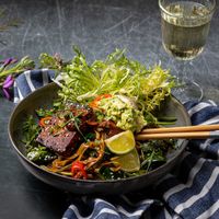 Vegan Lunch Big in Japon at FACTORY GIRL Restaurant in Berlin