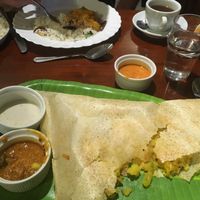 Potato masala dosa 😍 at Indian Melody in Southampton