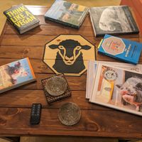 Coffee table in the living area at Black Sheep Inn in Hammondsport