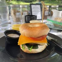 Breakfast sandwich with vegan sausage, tofu egg, vegan cheese, and an amazing homemade garlic mustard mayo  at Black Sheep Inn in Hammondsport